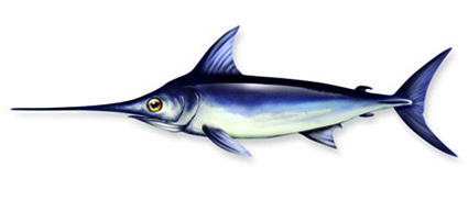 Pesce Spada - GAC dei Due Mari